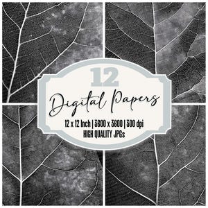 Könnte beinhalten: Ein digitales Papier-Set mit einem graustufigen Blattadermuster. Das Bild ist in vier Teile unterteilt, die die detaillierte Struktur der Blätter zeigen. Der Text auf dem Bild lautet "12 Digital Papers, 12 x 12 Inch, High Quality JPGs."