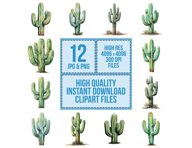 May include: Watercolor illustrations of various cacti in shades of green and brown. The image includes 12 different cactus designs. Text on the image reads "12 JPG & PNG", "HIGH RES 4096 x 4096 300 DPI FILES", and "HIGH QUALITY INSTANT DOWNLOAD CLIPART FILES".