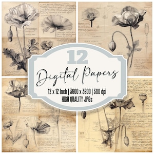 12x Mohn Skizze Junk Journal Papier Botanische Blumen Studie Digitales Papier Pack Hochwertige JPGs Scrapbook Papier Vintage Hintergründe