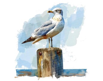 カモメのクリップアート、ポストアートセットに描かれた海岸の鳥12点