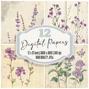 12 x Verveine fleur indésirable journal papier botanique paquet de papier numérique JPGs de haute qualité texture en détresse papier scrapbooking téléchargement numérique