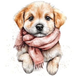 12 x puppy met sjaal PNG-clipart, gezellige winterhond illustratiesset, afdrukbare aquarel png, digitale download, plakboek, papier ambachten
