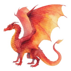 May include: Watercolor illustration of a red dragon with orange and yellow wings. The dragon is depicted in a side profile, with its head turned slightly towards the viewer. The dragon has a long, curved tail and is set against a white background.