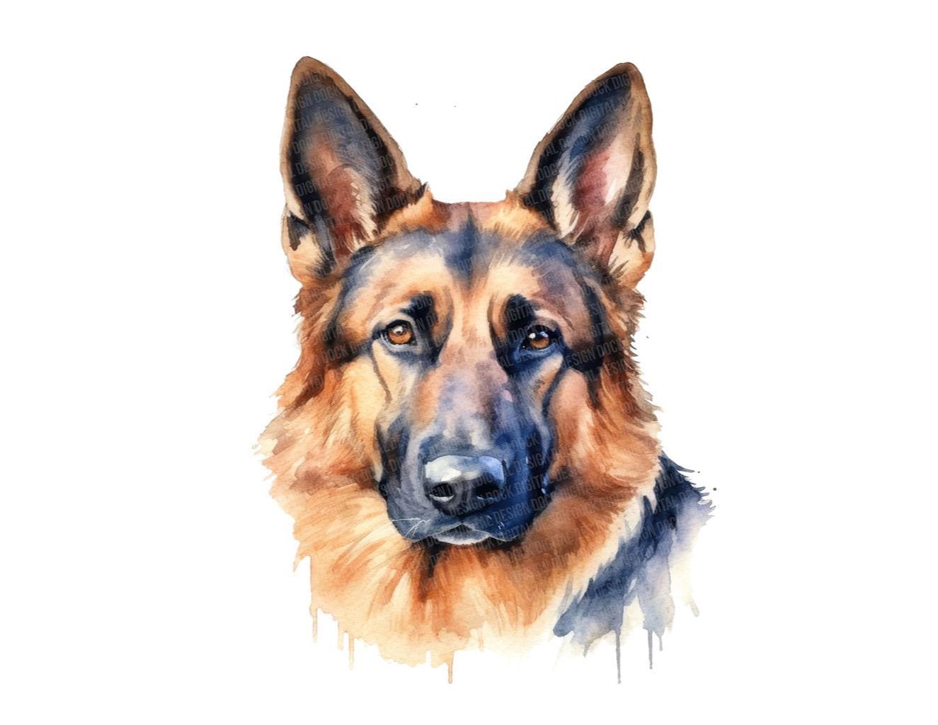 ジャーマンシェパードのPNGクリップアート、犬のクリップアート12個