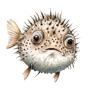 Clipart PNG di pesce palla, 12x set di illustrazioni di pesci ad acquerello, clipart di vita marina dell'oceano, download digitale, artigianato di carta, bundle di scrapbooking