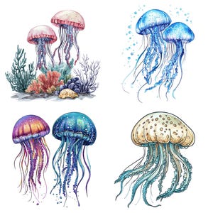 12x Marine Jellyfish PNG Clipart, Watercolor Sea Life Clip Art Set ...