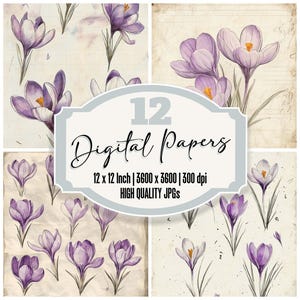 12 x Crocus violet indésirable papier journal paquet de papier numérique botanique JPGs de haute qualité texture en détresse papier scrapbooking téléchargement numérique