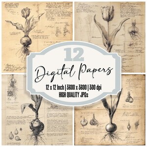 12x Tulip Sketch Junk Journal Papier Vintage Digital Paper Pack druckbare Hintergründe Hochwertige JPGs Distressed Texture Scrapbook Papier