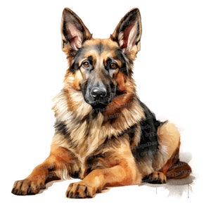 Clipart berger allemand, 12 fichiers JPG, images de haute qualité de chien, Illustration de berger, art mural chien, téléchargement numérique, chemise, cadeau d'art pour amoureux des chiens