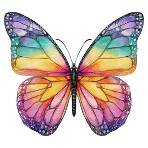May include: A watercolour illustration of a butterfly, showcasing a spectrum of colours. The wings display a gradient from purple to teal, yellow, orange, and pink. The butterfly has a black body and antennae, set against a white backdrop. The wings' details are clearly visible.