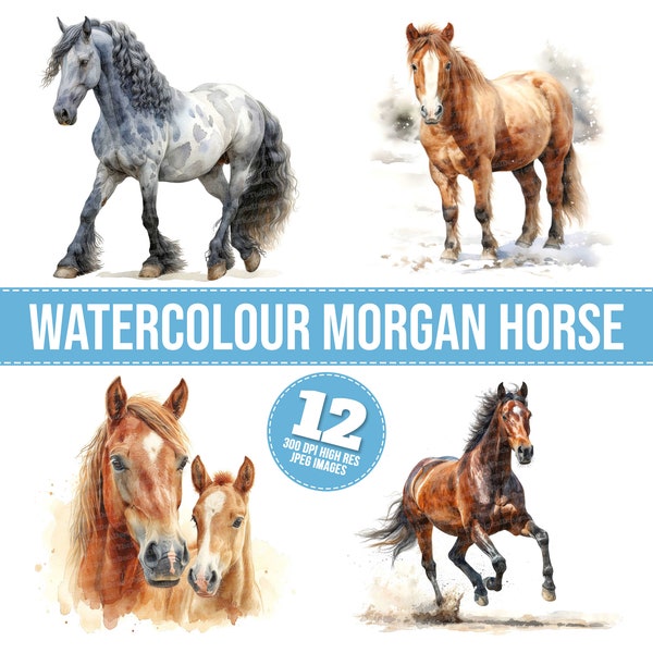 Watercolour Morgan Horse Clipart, 12 JPGs, Cute Animal Printable Image, Horse Illustration, Wall Art,Digital Download, Junk Journals, Tshirt