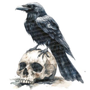 12x Raven Clipart, Gothic Skull Art, High Quality JPGs, Digital Download, Card Making, Digital Papers,Watercolor Clipart,Goth Clipart Bundle