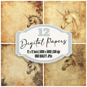 12x Carta da giornale con teschio di unicorno, carta digitale, sfondi Arcane Bloom, carta stampabile, JPG di alta qualità, texture gotica