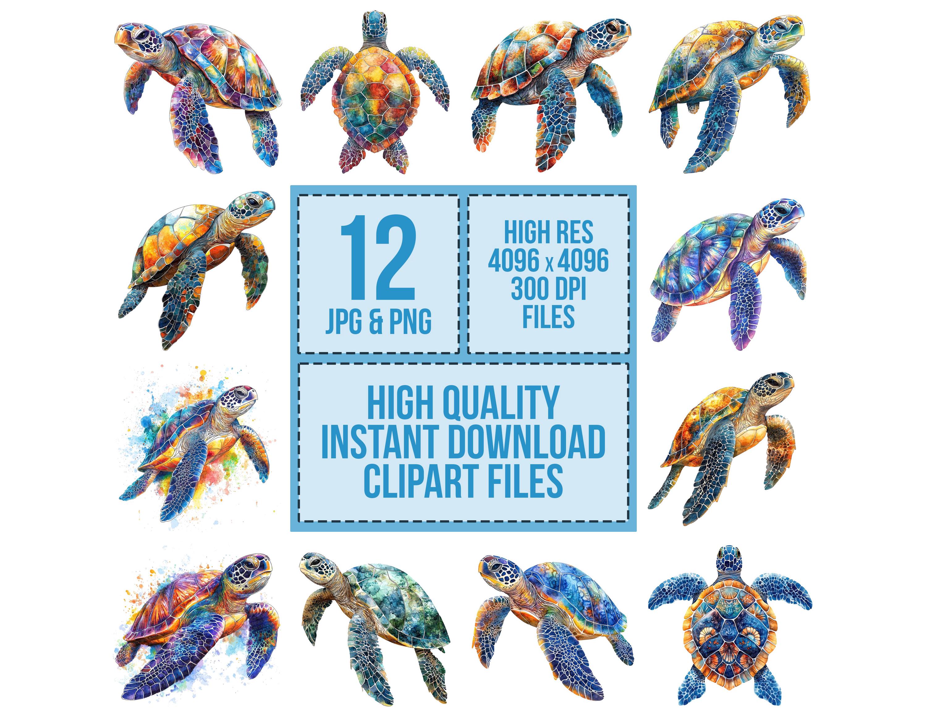Watercolor Sea Turtle PNG Clipart, 12x Marine Life Clip Art Set ...