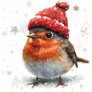 Noël rouge-gorge clipart, 12 x ensemble de cliparts oiseau d'hiver, illustrations de Red Hat Robin, téléchargement numérique, décoration de Noël, scrapbooking, art festif