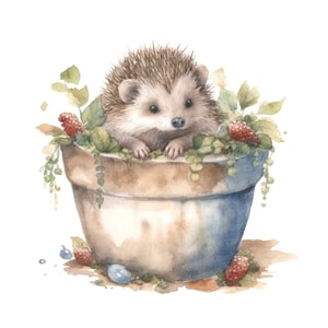 Clipart aquarelle cache-pot bébé hérisson, 12 JPG, image imprimable, illustration, art mural, téléchargement numérique, journaux indésirables, graphique tshirt