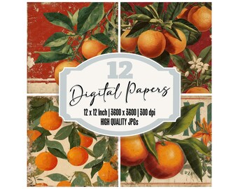 12x Vintage Orange Junk Journal Paper Citrus Fruit Label Digital Paper Pack Botanical Orange Backgrounds Distressed Texture Scrapbook JPGs