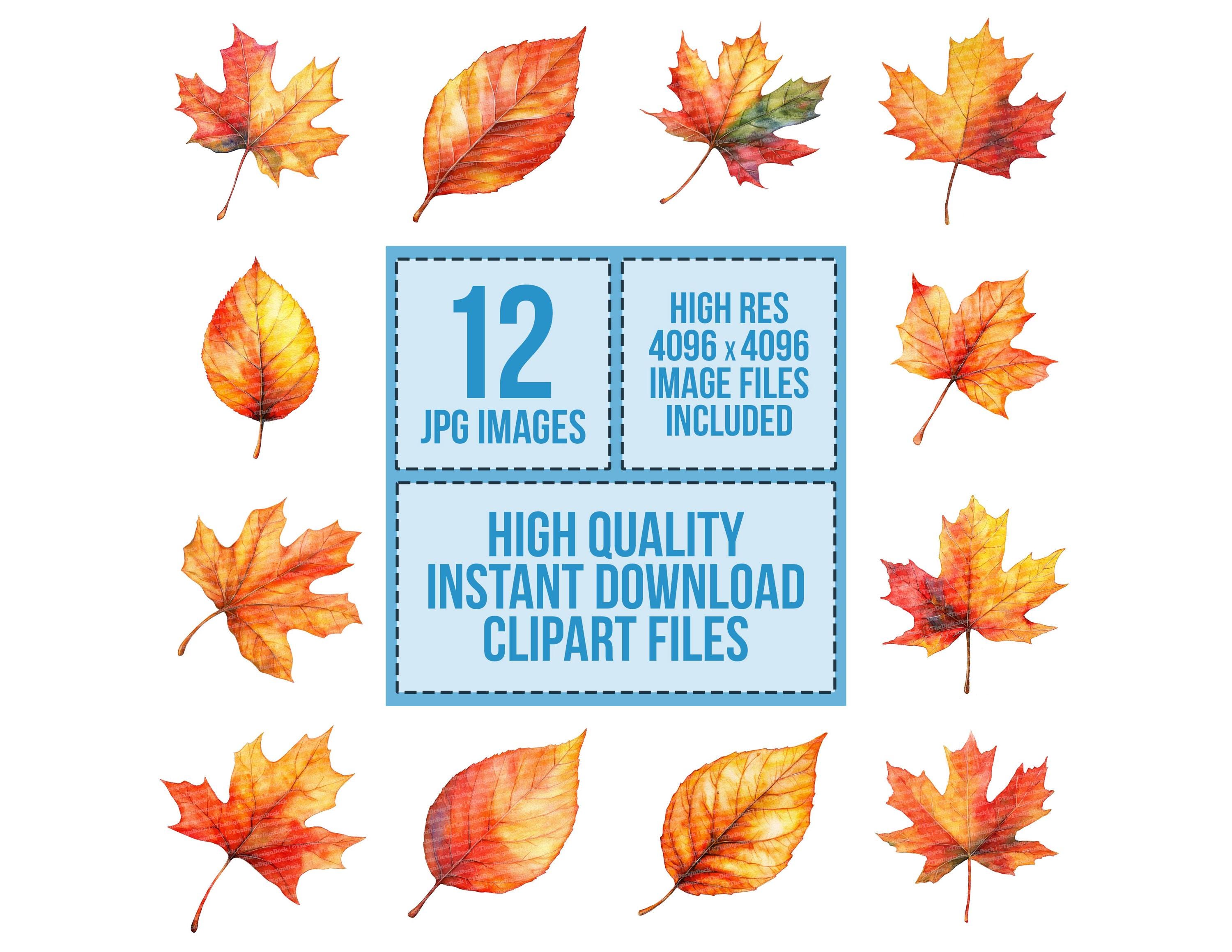 Single Fall Single Fall Leaves Clip Art, 12x Watercolor Autumn Leaf Clipart Set ...