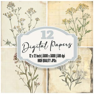 12x Yarrow Flower Junk Journal Paper Pacote de papel digital botânico JPGs de alta qualidade Papel de scrapbook com textura desgastada