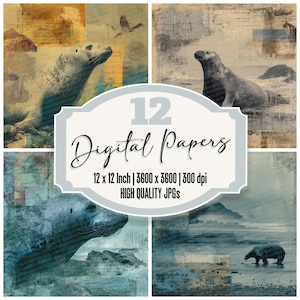 Paquete de 12 papeles digitales desgastados con diseño de elefante marino, papel de diario basura marino, textura náutica, archivos JPG de alta calidad, papel para álbum de recortes