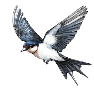 12 x Hirondelle PNG Clipart, oiseau qui vole Clip Art ensemble, PNG aquarelle imprimable, téléchargement numérique, fabrication de cartes, créations en papier, journal indésirable