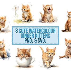 May include: A watercolour illustration showcasing eight charming ginger kittens in different poses. The kittens have detailed fur and expressive eyes. The image includes the text "8 Cute Watercolour Ginger Kittens PNGs & SVGs".
