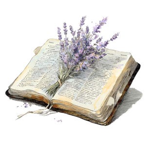 Könnte beinhalten: Ein offenes Buch mit gealterten, vergilbten Seiten auf weißem Hintergrund. Ein Bündel Lavendelblüten mit lila Blüten ist mit Bindfaden gebunden und liegt auf dem Buch. Das Bild hat einen Aquarellstil.