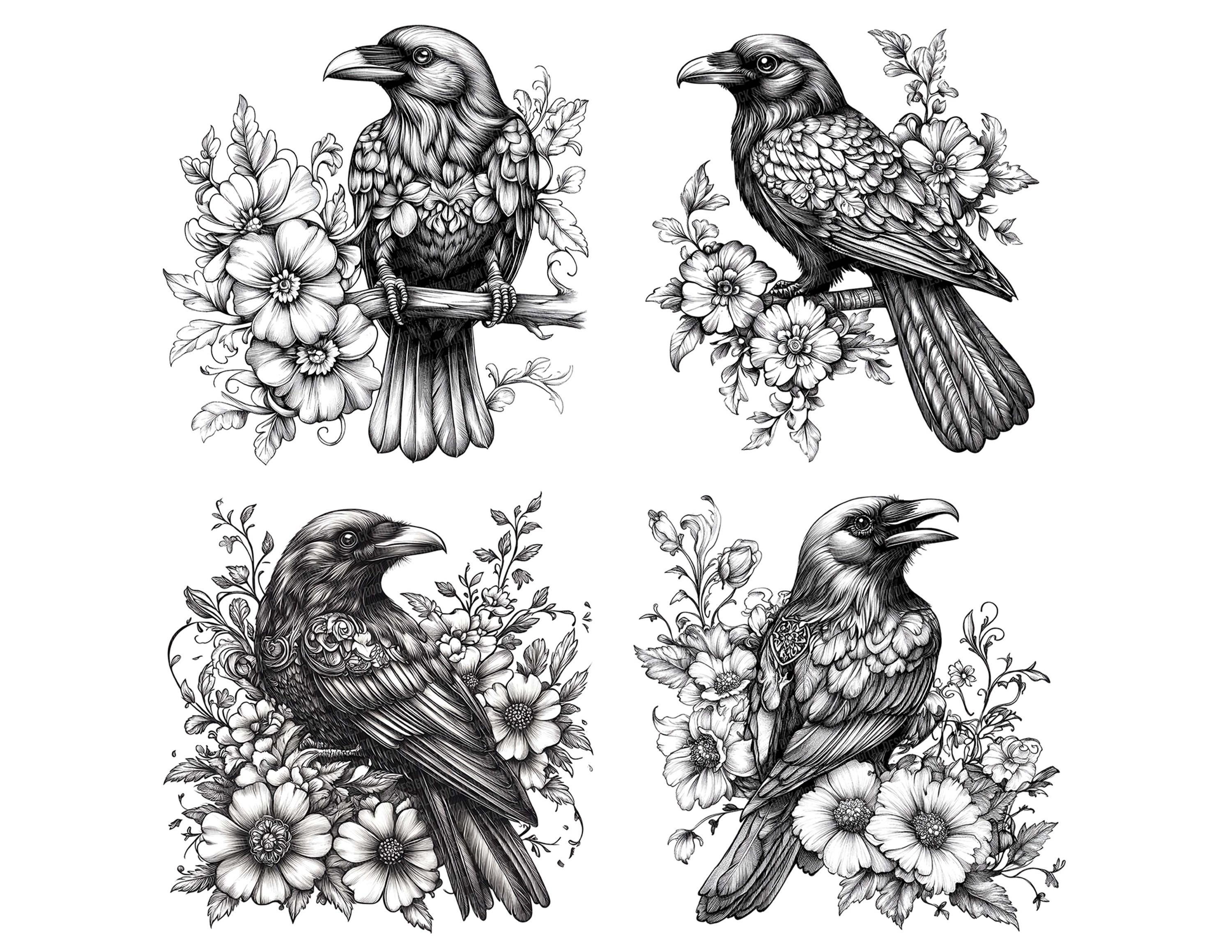 Raven Clip Raven PNG Clipart, 12x Black and White Raven Illustrations, Printable ...