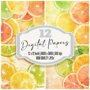 12x Citrus Junk Journal Paper, Watercolor Fruit Digital Paper Pack, Orange Lemon Lime Backgrounds, Scrapbook Paper, High Quality JPGs
