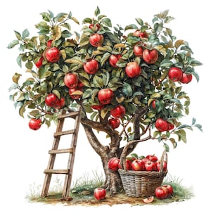 Apple Tree Harvest PNG Clipart, 12x Fall Fruit Clip Art Set, Printable Watercolor Clip Art, Digital Download, Transparent PNG, Farmhouse