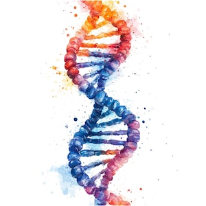 May include: A watercolor illustration of a DNA double helix, rendered in shades of blue, red, and orange. The helix is depicted against a white background with splattered watercolor accents.