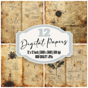 以下が含まれることがあります： ヴィンテージの植物画と科学的な図が描かれた、質感のある古びた羊皮紙の背景を持つデジタルペーパー12枚。ペーパーは12インチ×12インチ、300dpiです。