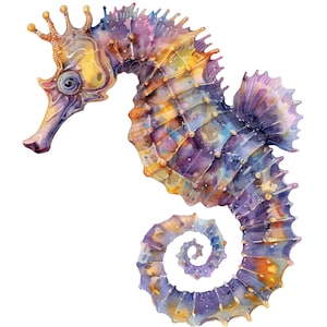Seahorse clipart, 12 jpgs, aquarel zeedier clipart, afdrukbare aquarel clipart, ambachten, kunst aan de muur, digitale download, ongewenste tijdschriften