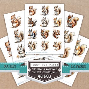May include: A collection of watercolour squirrel illustrations printed on white paper. The image features the text "Fussy Cut Pages", "US Letter & A4 Sheets", "Inc. JPG + PNG Clipart", "48 PCS", "12 PAGES", and "300 DPI".