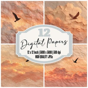 12x Carta da giornale con uccelli e nuvole, texture strappata, carta digitale, cieli al tramonto, JPG di alta qualità, carta per scrapbooking, download