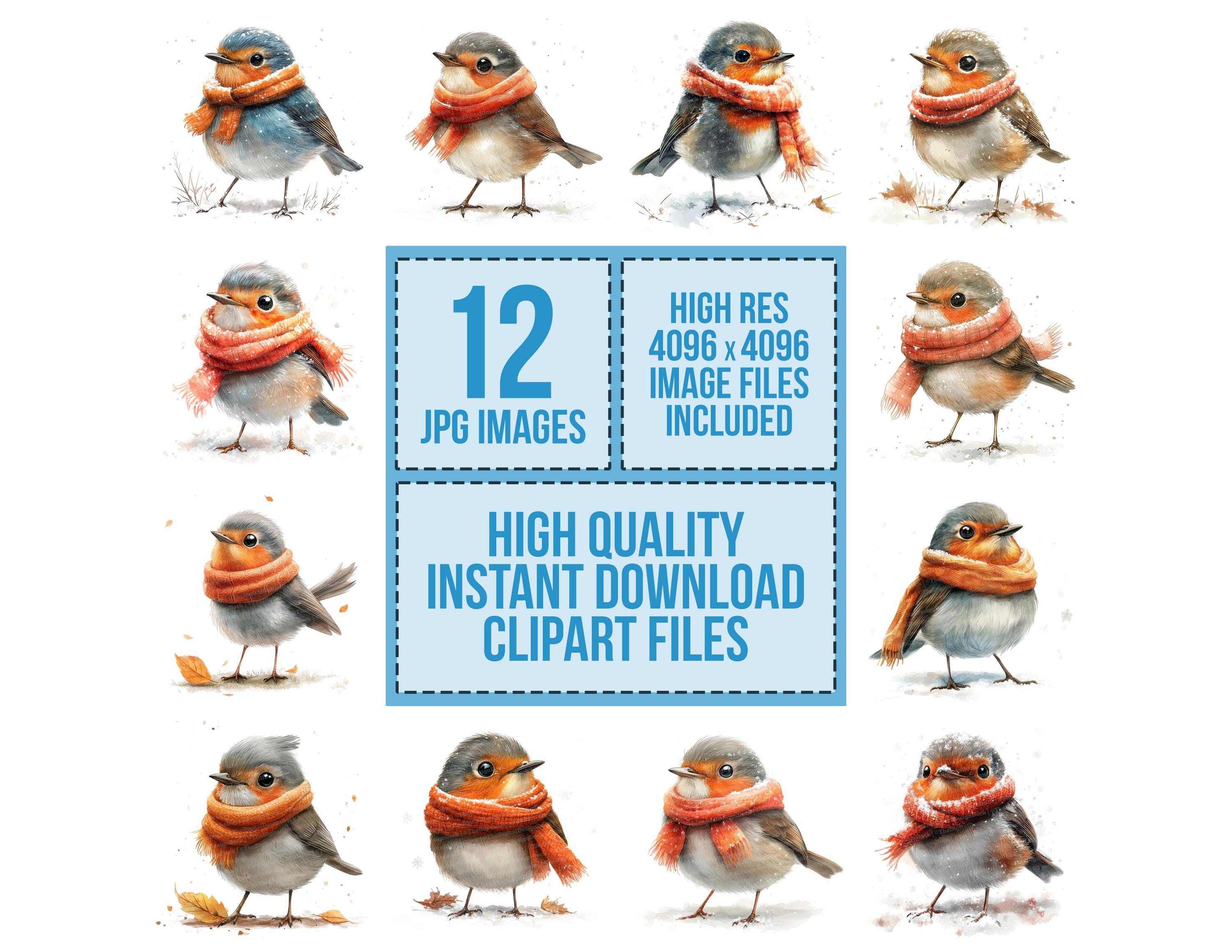 12 Winter Bird Clipart, Watercolor Robin in Scarf, Printable Watercolor ...