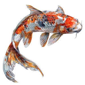 Koi Fish Clipart, 12 JPGs, Watercolor Koi Illustration, Printable Watercolor Clipart, Paper Crafts, Wall Art, Digital Download,Junk Journals