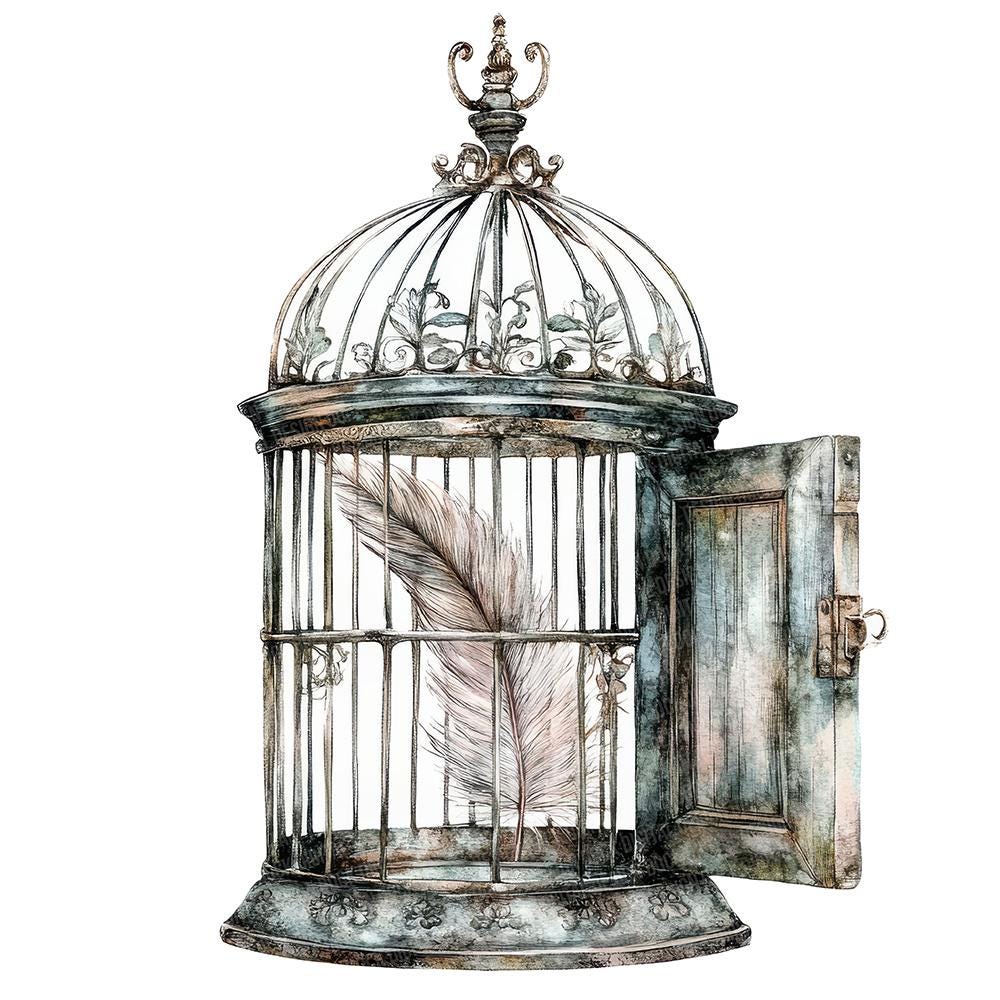 Bird Cage and Suitcase by Dennis Conaghan, image size:1000x1000