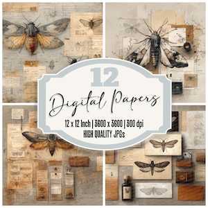 May include: A collection of 12 digital papers with vintage moth and insect illustrations on aged paper. The image includes the text "12 Digital Papers" and specifications of 12 x 12 inches, 3600 x 3600 pixels, and 300 dpi.