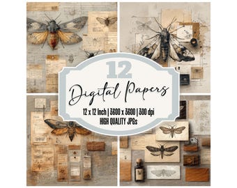 May include: Digital paper set featuring vintage-style illustrations of moths and insects on aged paper backgrounds. The image includes the text "12 Digital Papers" and specifications of 12 x 12 inches, 3600 x 3600 pixels, and 300 dpi.