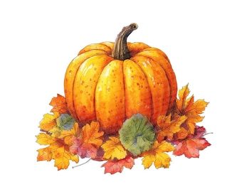 Flowers & Plants Clipart