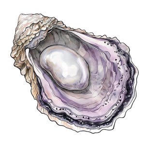 Folk Oyster Clip Art, 12x Oyster with Pearl PNG Clipart Set, Watercolor Shell Clip Art, Printable Digital Download, Transparent PNG