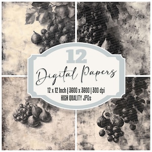 2x Vintage Fruit Junk Journal Papier Traube und Feige Botanisches Digitales Papier Pack Gealterte Hintergründe Hochwertige JPGs Sammelalbum Download