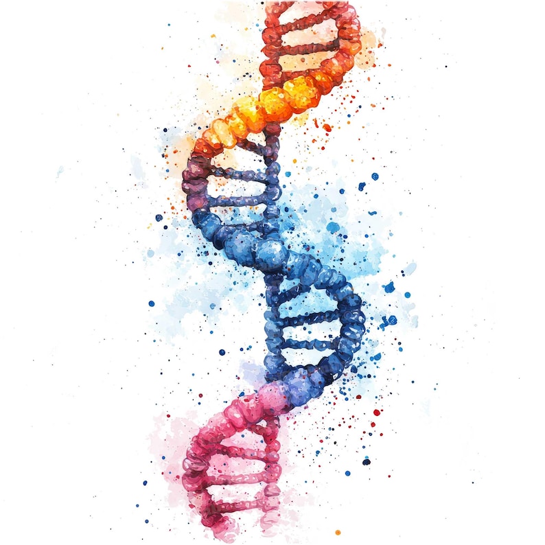 May include: A watercolor painting of a DNA double helix, with a colorful gradient of red, orange, blue, and pink. The background is a white canvas with splatters of blue, red, and orange watercolor.