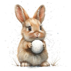 Winter Bunny PNG Clipart, 12x Cute Snowball Rabbit Clip Art Set ...