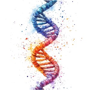 May include: A watercolor illustration of a DNA double helix, rendered in shades of blue, orange, and purple. The background features a splatter pattern of colorful paint.