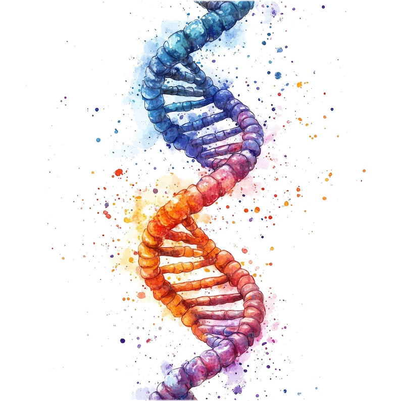 May include: A watercolor illustration of a DNA double helix, rendered in shades of blue, orange, and purple. The background features a splatter pattern of colorful paint.