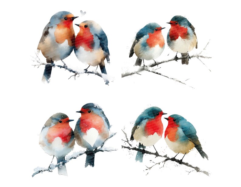 Christmas Robin PNG Clipart, 12x Winter Birds Clip Art, Printable ...