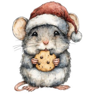 Op de afbeelding: Waterverfillustratie van een schattige grijze muis met een rode en witte kerstmuts, die een chocolate chip cookie eet. Ideaal voor kerstkaarten of decoraties.