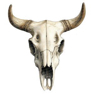 Cráneo de vaca PNG Clipart, 12x Conjunto de imágenes prediseñadas de cráneo de acuarela rústica, Imágenes prediseñadas del suroeste, Descarga digital, Manualidades de papel, Diario basura